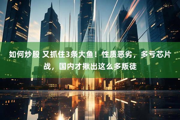 如何炒股 又抓住3条大鱼！性质恶劣，多亏芯片战，国内才揪出这么多叛徒