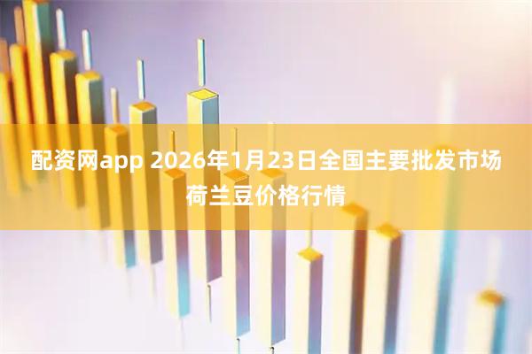 配资网app 2026年1月23日全国主要批发市场荷兰豆价格行情